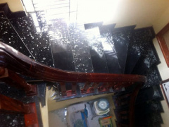 Ảnh bìa bài viết 385894