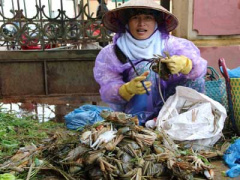Ảnh bìa bài viết 385970