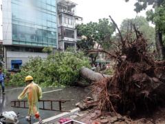 Ảnh bìa bài viết 386109