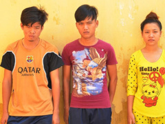 Ảnh bìa bài viết 386255