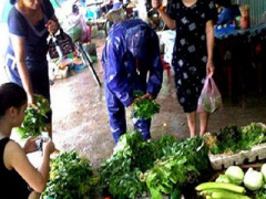 Ảnh bìa bài viết 386133