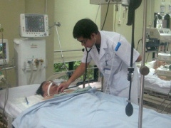 Ảnh bìa bài viết 386118
