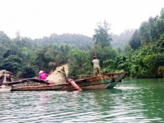Ảnh bìa bài viết 386251
