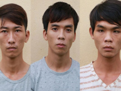 Ảnh bìa bài viết 386405