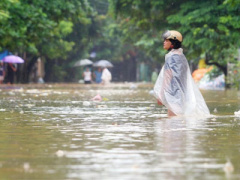 Ảnh bìa bài viết 386291