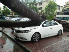 Ảnh bìa bài viết 386424