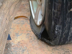 Ảnh bìa bài viết 386401