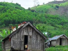 Ảnh bìa bài viết 386516
