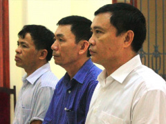 Ảnh bìa bài viết 386795