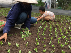 Ảnh bìa bài viết 386847