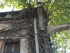 Ảnh bìa bài viết 386799