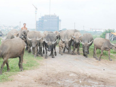 Ảnh bìa bài viết 386918