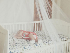 Ảnh bìa bài viết 386926