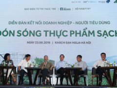 Ảnh bìa bài viết 386956