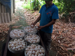 Ảnh bìa bài viết 386844