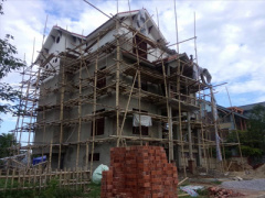 Ảnh bìa bài viết 387009