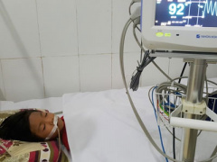 Ảnh bìa bài viết 387115