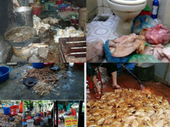 Ảnh bìa bài viết 387245