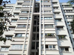 Ảnh bìa bài viết 387060
