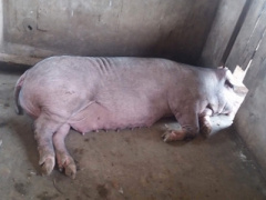 Ảnh bìa bài viết 387297