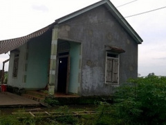 Ảnh bìa bài viết 387295