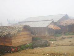 Ảnh bìa bài viết 387232
