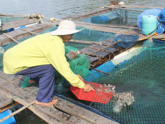 Ảnh bìa bài viết 387030