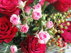 Ảnh bìa bài viết 387027