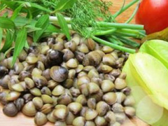 Ảnh bìa bài viết 387375