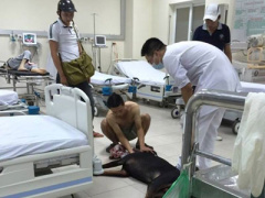Ảnh bìa bài viết 387439