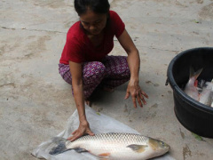 Ảnh bìa bài viết 387559
