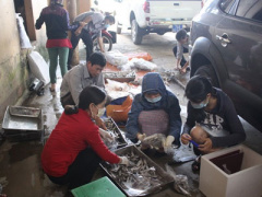 Ảnh bìa bài viết 387317