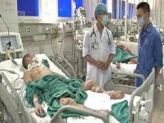 Ảnh bìa bài viết 387545