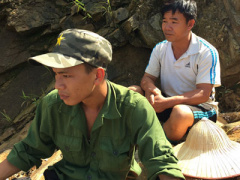 Ảnh bìa bài viết 387419