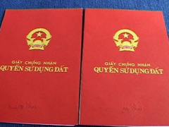 Ảnh bìa bài viết 387786