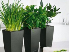 Ảnh bìa bài viết 387677
