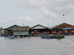 Ảnh bìa bài viết 387583