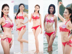 Ảnh bìa bài viết 388114