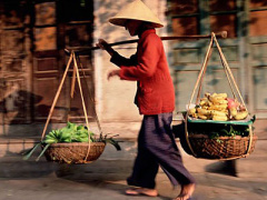 Ảnh bìa bài viết 388258