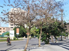 Ảnh bìa bài viết 388686