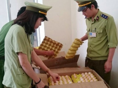 Ảnh bìa bài viết 388514