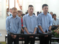 Ảnh bìa bài viết 388429