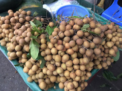 Ảnh bìa bài viết 388459