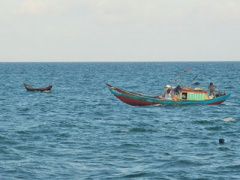 Ảnh bìa bài viết 388480