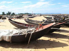 Ảnh bìa bài viết 388724