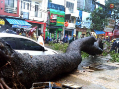 Ảnh bìa bài viết 388715