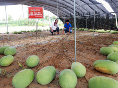 Ảnh bìa bài viết 388763