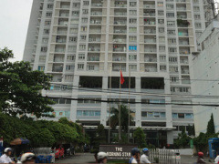Ảnh bìa bài viết 388936