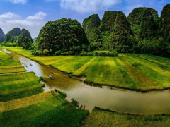 Ảnh bìa bài viết 388942