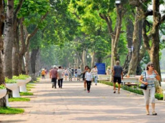 Ảnh bìa bài viết 389246